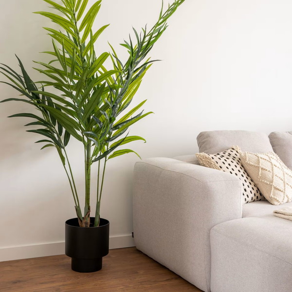 PALMERA bamboo palm �����ƥ��ե������ץ��ġ�H179��