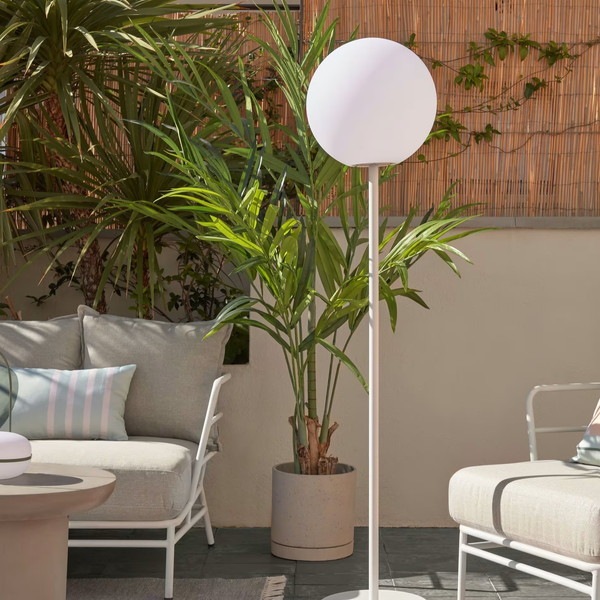 PALMERA bamboo palm �����ƥ��ե������ץ��ġ�H179��