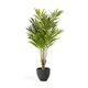 PALMERA bamboo palm �����ƥ��ե������ץ��ġ�H179��