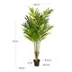 PALMERA bamboo palm �����ƥ��ե������ץ��ġ�H179��