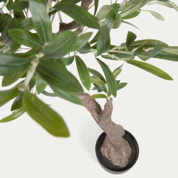 OLIVO �����ƥ��ե������ץ��ġ�H140��