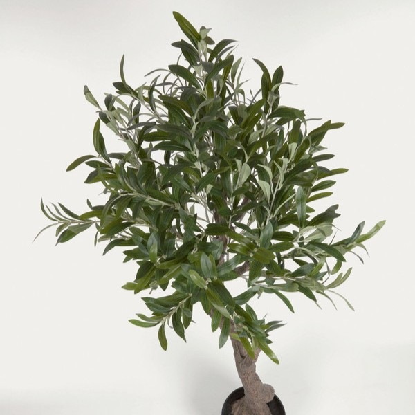 OLIVO �����ƥ��ե������ץ��ġ�H140��