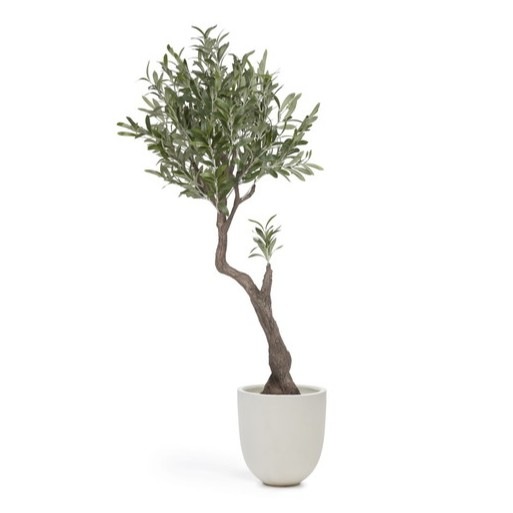 OLIVO �����ƥ��ե������ץ��ġ�H140��