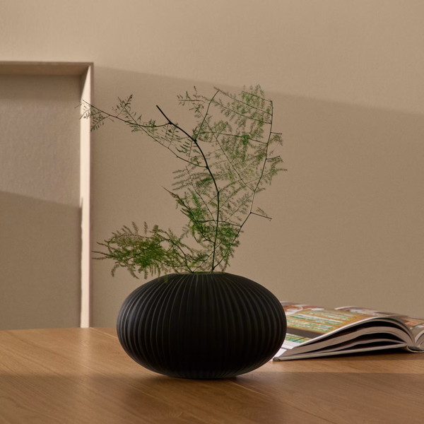 NIVRA �١���