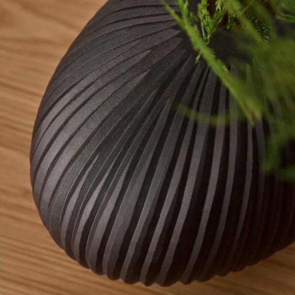 NIVRA �١���