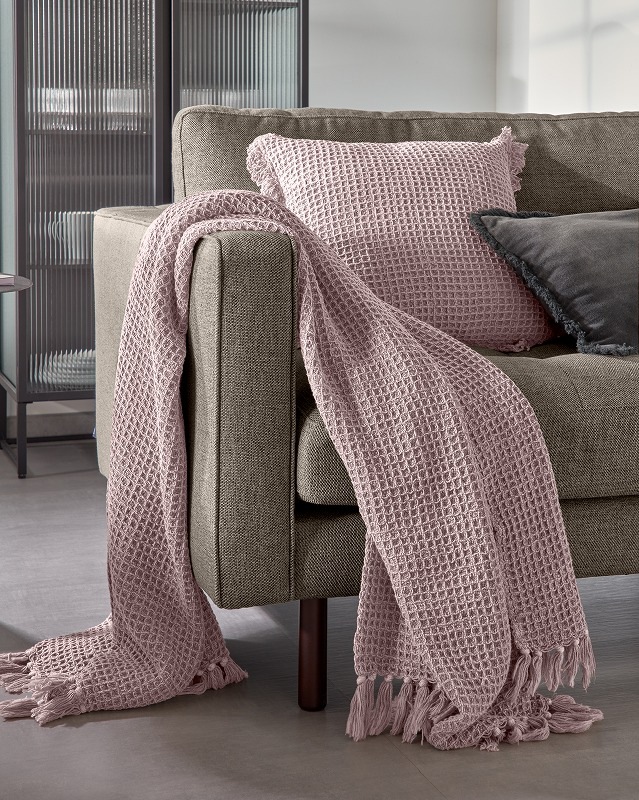 SHALLOW ���å���󥫥С�