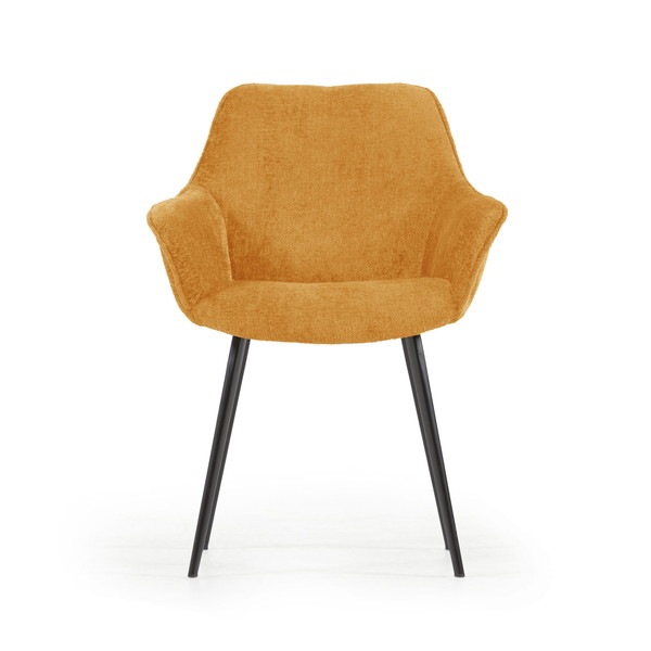 AMINY ������