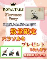 ܥ꡼ꡡ̸ѥ饽ץ쥼ȡRoyal Tails Florence ƥ륺ե󥹡ܥ꡼