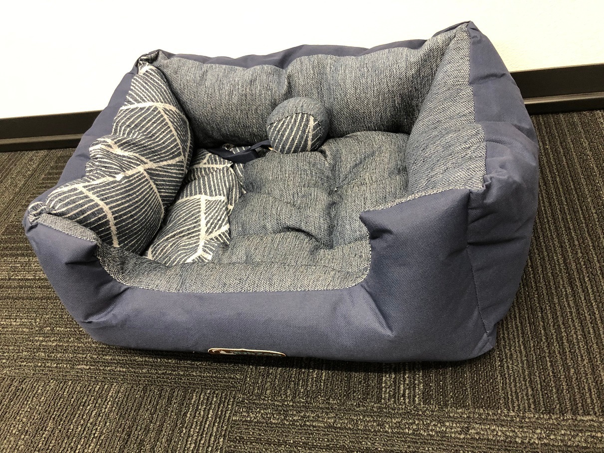 DODO COSY SPIDER ɥɥѥ4