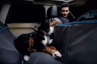 MATTHEW���ޥ��塼�����ѥ����ȥ��С��Ǻ�ˤ⹴�ä��ڥå��ѥ����ȥ��С��Ǥ�����