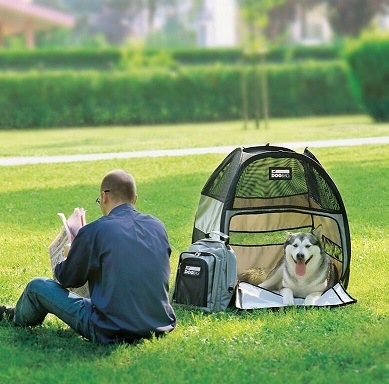 DOGBAG �ɥå��Хå�������3�������ˡ�����Ǥ⥢���ȥɥ��Ǥ�Ȥ��륽�եȥ�����������