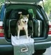 DOGBAG �ɥå��Хå�������3�������ˡ�����Ǥ⥢���ȥɥ��Ǥ�Ȥ��륽�եȥ�����������