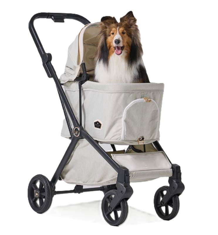 Royal Tails GLORIA��Standard(550) ���������ƥ��륺�������ꥢ������������ɡ�550�ˡ��ʷ�3���˥ڥåȥ����ȡ��ޤꤿ���ߡ���󥿥å���
