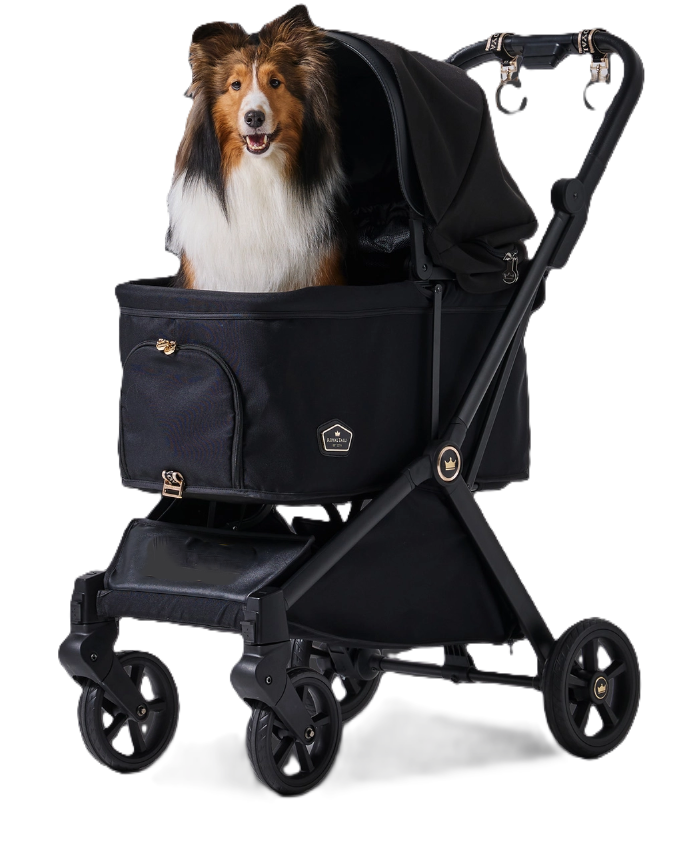 Royal Tails GLORIA��Standard(550) ���������ƥ��륺�������ꥢ������������ɡ�550�ˡ��ʷ�3���˥ڥåȥ����ȡ��ޤꤿ���ߡ���󥿥å���