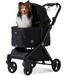 Royal Tails GLORIA��Standard(550) ���������ƥ��륺�������ꥢ������������ɡ�550�ˡ��ʷ�3���˥ڥåȥ����ȡ��ޤꤿ���ߡ���󥿥å���