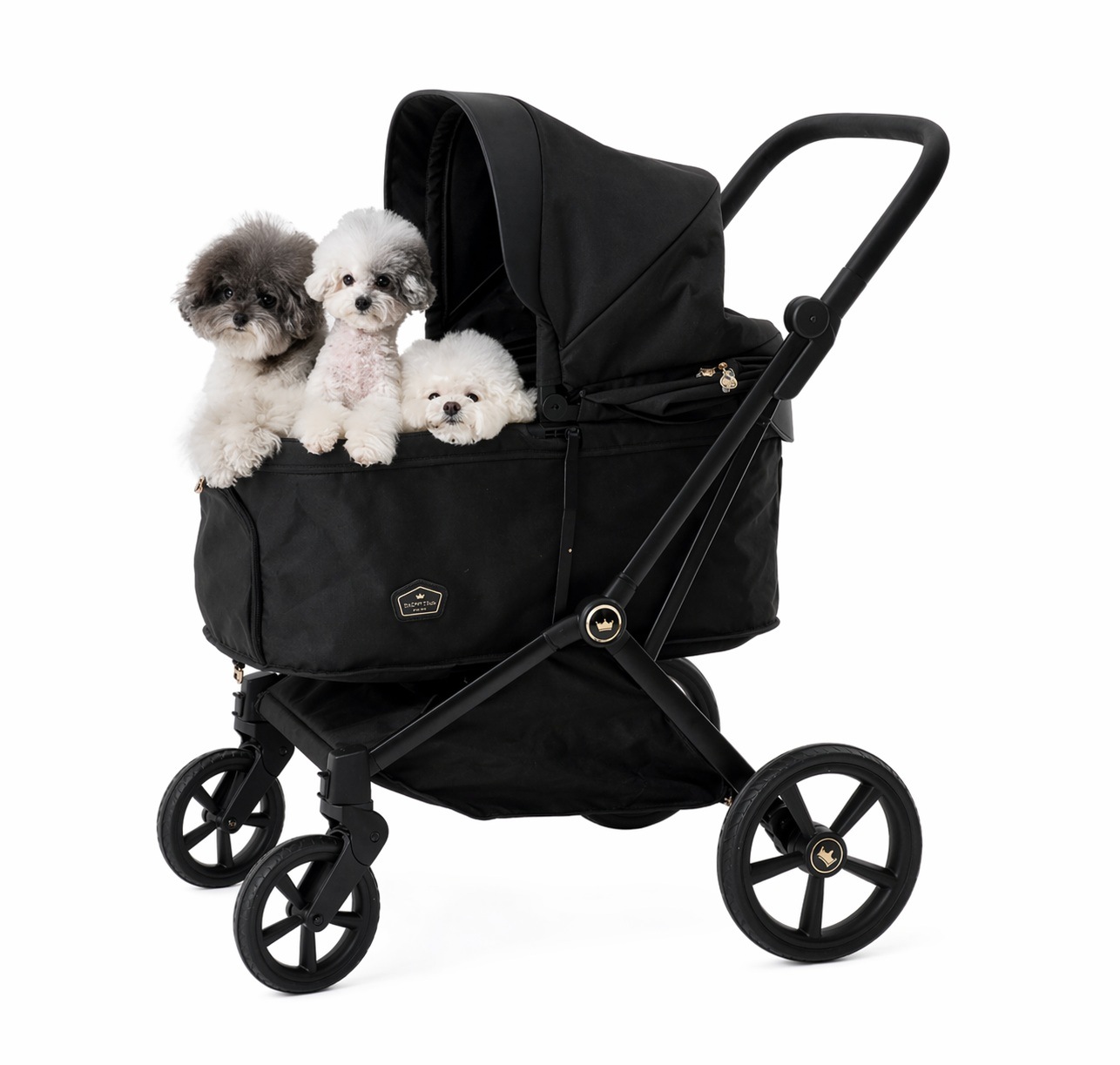 Royal Tails GLORIA��Max(750) ���������ƥ��륺�������ꥢ���ޥå�����750�ˡ��ʷ�3���˥ڥåȥ����ȡ��ޤꤿ���ߡ���󥿥å���