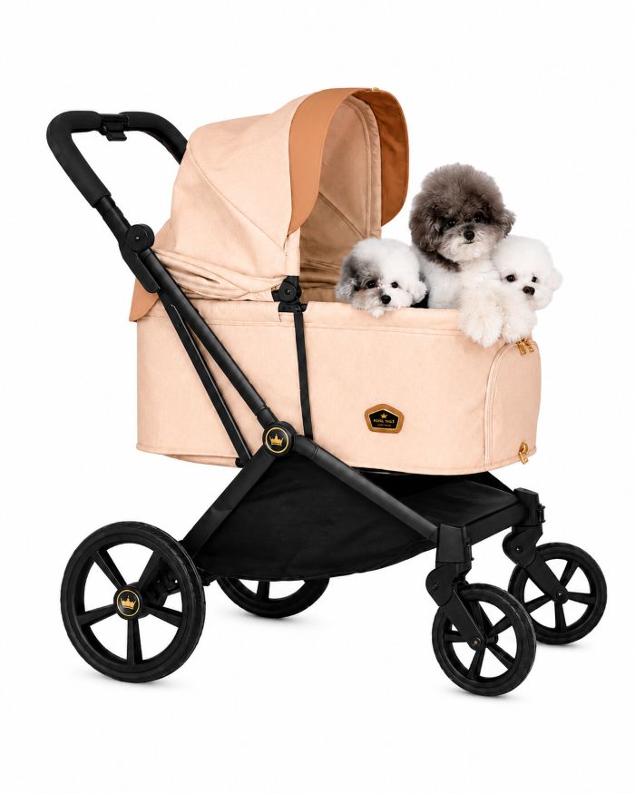 Royal Tails GLORIA��Max(750) ���������ƥ��륺�������ꥢ���ޥå�����750�ˡ��ʷ�3���˥ڥåȥ����ȡ��ޤꤿ���ߡ���󥿥å���