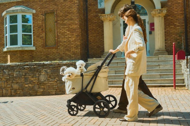 Royal Tails GLORIA��Max(750) ���������ƥ��륺�������ꥢ���ޥå�����750�ˡ��ʷ�3���˥ڥåȥ����ȡ��ޤꤿ���ߡ���󥿥å���