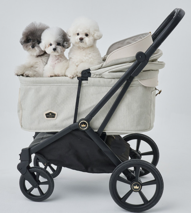 Royal Tails GLORIA��Max(750) ���������ƥ��륺�������ꥢ���ޥå�����750�ˡ��ʷ�3���˥ڥåȥ����ȡ��ޤꤿ���ߡ���󥿥å���
