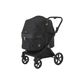 Royal Tails GLORIA��Max(750) ���������ƥ��륺�������ꥢ���ޥå�����750�ˡ��ʷ�3���˥ڥåȥ����ȡ��ޤꤿ���ߡ���󥿥å���