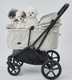 Royal Tails GLORIA��Max(750) ���������ƥ��륺�������ꥢ���ޥå�����750�ˡ��ʷ�3���˥ڥåȥ����ȡ��ޤꤿ���ߡ���󥿥å���