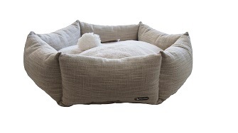 BASKET FLOWER Classic  �Х����åȥե� ���饷�å� (2������)����ϻ�ѷ���������٥åɡ�����