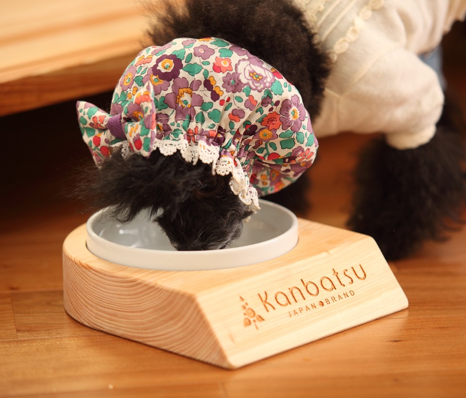 kanbatsu LAVISH single dish ��ӥå���ǥ��å��塡˰���Τ��ʤ�����ץ�ʥǥ�����Υܥ��롪