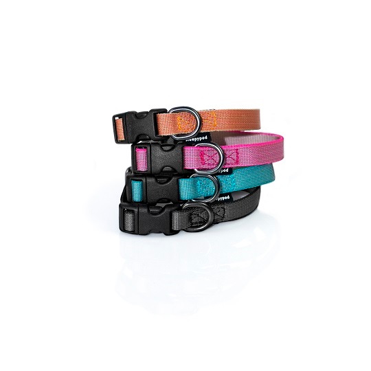 sleepypod Everyday Collar ���֥�ǥ����顼����4���顼/��󥵥����ˡ������������淿�������μ���