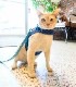 sleepypod Martingale Cat Harnessޡ󥲡륭åȥϡͥ5顼/3ˡ