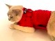 sleepypod Martingale Cat Harnessޡ󥲡륭åȥϡͥ5顼/3ˡ