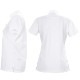 【セール 半額以下】フェリージゴルフ ウェア レディース カンクリーニ ハイネックシャツ Felisi GOLF WS CANCLINI HIGHNECK SHIRT FLG631W05 FLG 【返品交換不可】
