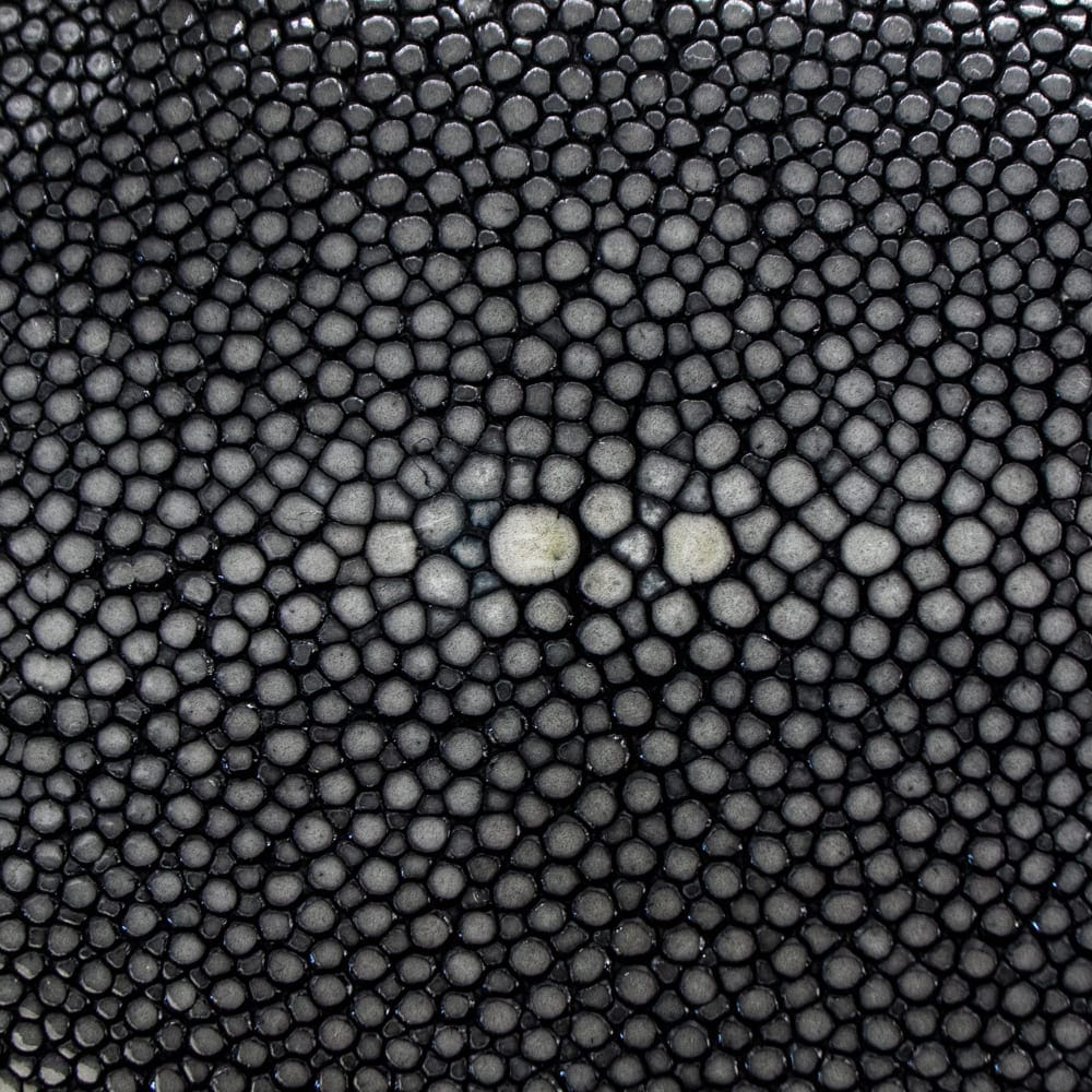 ペッレモルビダ 財布 エイ革 スティングレイ 二つ折り ミニ財布 コンパクト財布 バルカ PELLE MORBIDA Barca PMO-SR004 PMO 秋冬新作