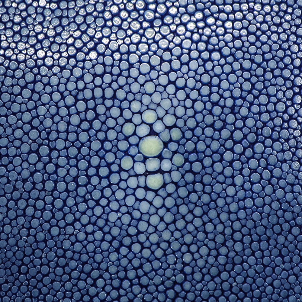 ペッレモルビダ 財布 エイ革 スティングレイ 2つ折り コンパクト財布 バルカ PELLE MORBIDA Barca PMO-SR005 PMO 秋冬新作