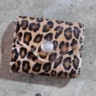 FUNNY �ե��ˡ���Pebble�ۢ�ץ��ƥåɥإ������ա��쥪�ѡ��ɢ�  �ڥ֥� �ߥɥ륦����å� �ߥ˥�����å� �����ϥ���  ������