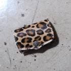 FUNNY �ե��ˡ���BOX COIN CASE�ۢ�إ������բ��LEOPARD�� �ܥå��������󥱡��� �������� ������