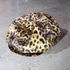 Mr.FATMAN �ߥ������ե��åȥޥ��THREE LOVE CASQUETTE LEOPARD�ۥ��꡼��֥��㥹���å� �쥪�ѡ��� �ե��� ������