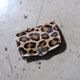 FUNNY �ե��ˡ���BOX COIN CASE�ۢ�إ������բ��LEOPARD�� �ܥå��������󥱡��� �������� ������