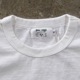 Freerage ե꡼쥤225AC788-Cۡڥꥵ륳åȥȾµTġۢDRINK vol.2 åȥ100 