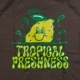 Freerage ե꡼쥤225AC789-Aۡڥꥵ륳åȥȾµTġۢTROPICAL LEMON vol.2 åȥ100 