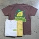 Freerage ե꡼쥤225AC789-Aۡڥꥵ륳åȥȾµTġۢTROPICAL LEMON vol.2 åȥ100 