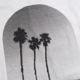 Freerage ե꡼쥤225AC789-Cۡڥꥵ륳åȥȾµTġۢTHREE PALM TREE åȥ100 