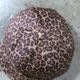 BRIDGECAP �֥�å�����åס�TYPE1 LEO�� ���硼�ȥ֥�� ����å� �쥪�ѡ��� �ҥ祦�� COTTON100�� Mr.FATMAN �ե��åȥޥ�