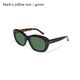 EVILACT EYEWEAR �����֥륢���ȥ��������� ��EAE25-19�ۡ�GREYHOUND�ۢ㥫�顼��󥺢䥰�쥤�ϥ���� ���󥰥饹 ������