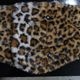 Vin��Age �����󥢥�ɥ�������TYPE VNW4_26�ۡ�FUR NECK WARMER�� �ե����ͥå��������ޡ� �ɴ� �ե꡼��