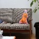 MIDORI KOMATSU Plays with DETAIL INC.THE ENJOY C&D CLUB CUSHIONۢLARGE䥯å ԥ   ޥե СǺ