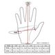 Lamp Gloves ���ץ������֥���Utility glove Mid�ۥ桼�ƥ���ƥ��������� �ǥ��������� �ߥɥ�� �⡼������������ �Х����������� ��� �����ȥɥ� �ܳ�