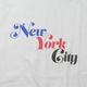 Freerage ե꡼쥤225BC797-Aۡڥꥵ륳åȥȾµTġۢNew York City vol.2 åȥ100 