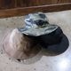 BLACK SIGN �֥�å��������BSFC-26904�ۡ�Military Ripstop Utility Hat�ۥߥ꥿�꡼��åץ��ȥåץ桼�ƥ���ƥ��ϥå�  �饤�ȥ��� Cotton