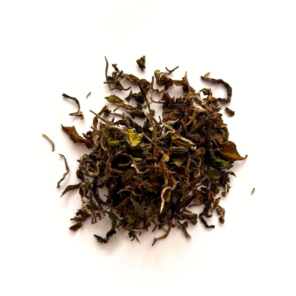 ダージリンファーストフラッシュ 2026年リシーハット茶園 30g(紙缶)