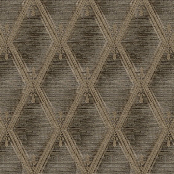 �����ʥ��������μ׸�2�饫���ƥ��SI ����ȥ� BR�ۥ֥饦�� S2465*